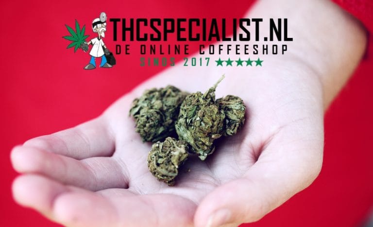 Kup olej THC w kawiarni i kup online zioło