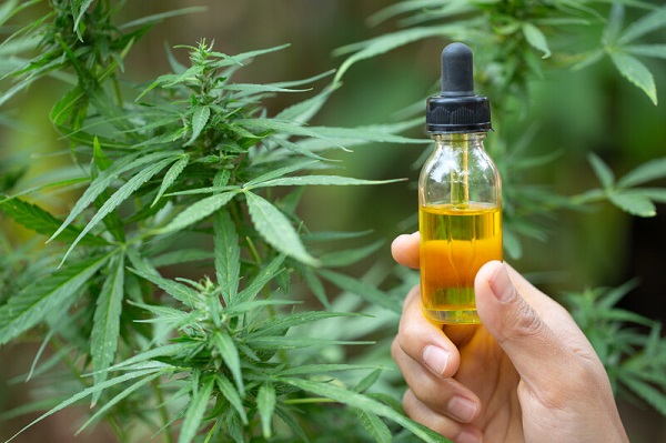 Is There A Place Where I Can Buy Cannabis Oil Specifically?