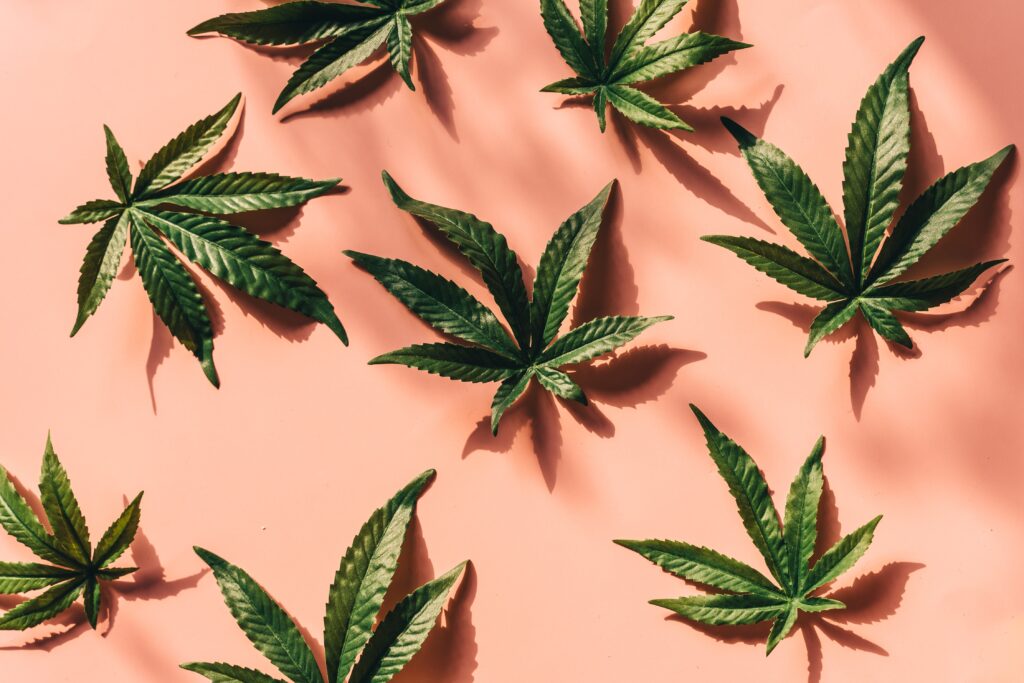 Is It Legal To Buy Cannabis Online?