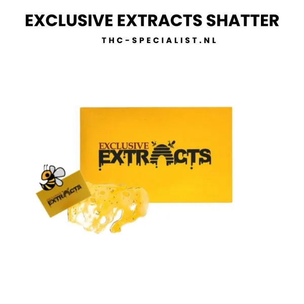 Exclusive Extracts Shatter