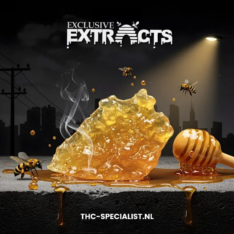 Exclusive Extracts Shatter
