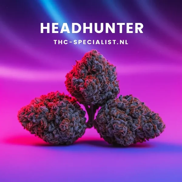 Headhunter
